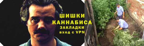 ECSTASY Вяземский