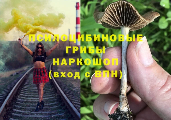 ECSTASY Вяземский