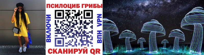 Галлюциногенные грибы Psilocybine cubensis  цены наркотик  Заволжье 
